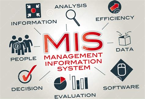Management Information System .